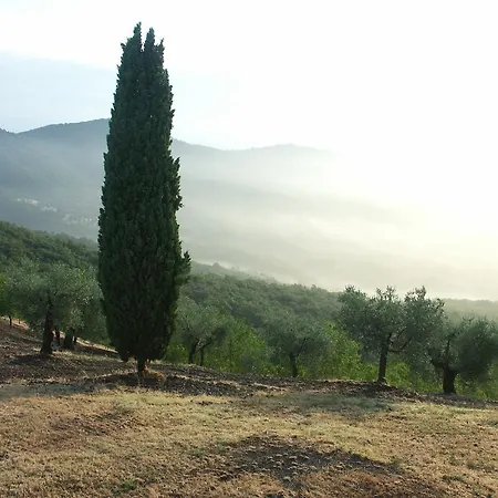 Castello Di Mongiovino * פניקאלה